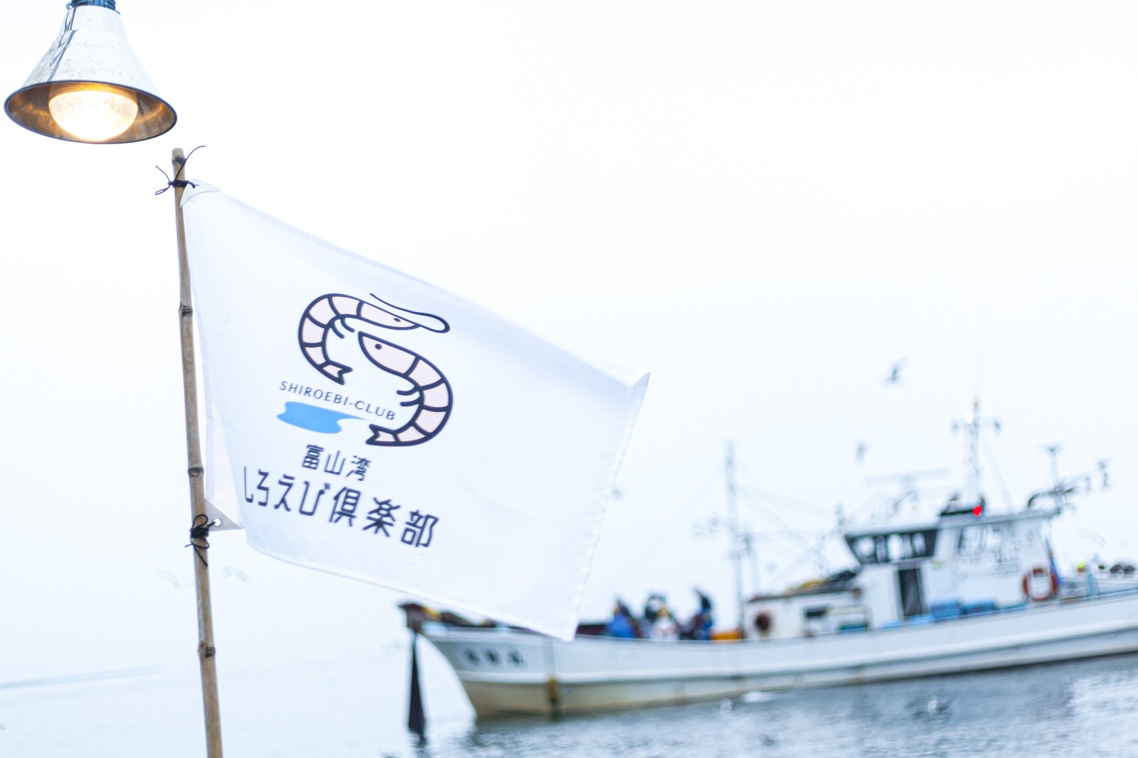 シロエビ漁見学ツアー・富山県新湊漁港 | 水辺の民家ホテル【公式